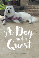 A Dog and a Quest