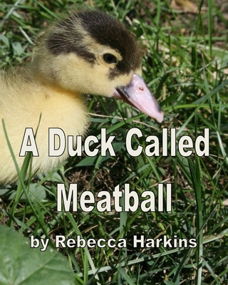 A Duck Called Meatball - Harkins, Rebecca