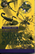 A Field Guide to Spiders and Scorpions of Texas