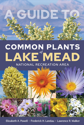 A Guide to Common Plants of Lake Mead National Recreation Area - Powell, Elizabeth A, and Landau, Frederick H, and Walker, Lawrence R