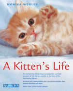 A Kitten's Life