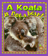 A Koala Is Not a Bear!