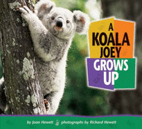 A Koala Joey Grows Up - Hewett, Joan