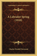 A Labrador Spring (1910)