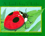 A Ladybug's Life