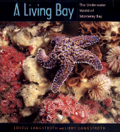 A Living Bay: The Underwater World of Monterey Bay