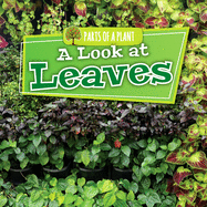 A Look at Leaves