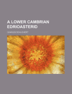 A Lower Cambrian Edrioasterid - Schuchert, Charles