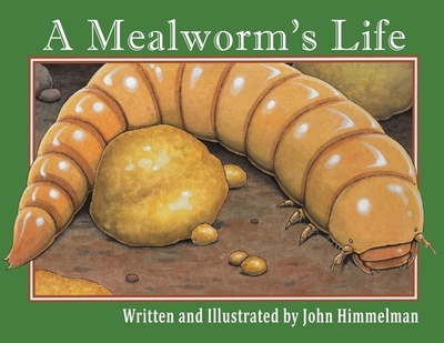 A Mealworm's Life - 