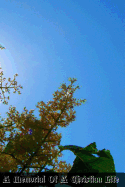 A Memorial Of A Christian Life: Containing All That A Soul Newly Converted To God Ought To Do, That It May Attain The Perfection To Which It Ought To Aspire