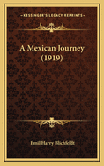 A Mexican Journey (1919)