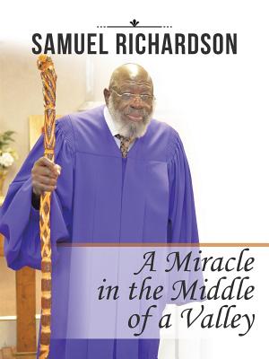 A Miracle in the Middle of a Valley - Samuel