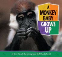 A Monkey Baby Grows Up