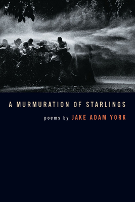 A Murmuration of Starlings - York, Jake Adam