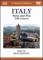 A Musical Journey: Italy - Siena and Pisa/Villa Luxoro