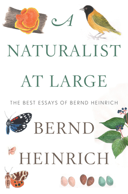 A Naturalist at Large: The Best Essays of Bernd Heinrich - Heinrich, Bernd, PhD