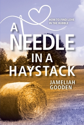 A Needle in a Haystack: How to Find Love in the Rubble - Gooden, Jameliah
