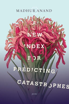 A New Index for Predicting Catastrophes - Anand, Madhur