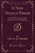 A New Mexico David: And Other Stories and Sketches of the Southwest (Classic Reprint)