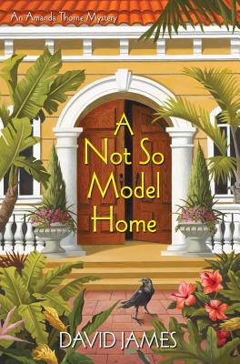 A Not So Model Home: An Amanda Thorne Mystery - James, David