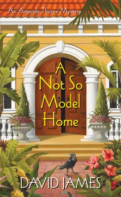 A Not So Model Home - James, David