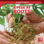 A Peek at Roots
