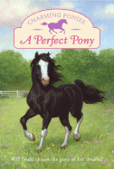 A Perfect Pony