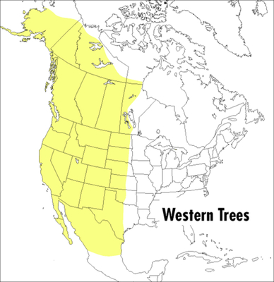 A Peterson Field Guide To Western Trees - Peterson, Roger Tory