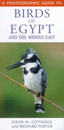 A Photographic Guide to Birds of Egypt and  the Middle East - Cottridge, David (Photographer), and Porter, Richard