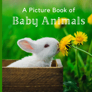 A Picture Book of Baby Animals: A Beautiful Picture Book for Seniors With Alzheimer's or Dementia.