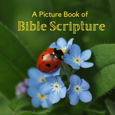 A Picture Book of Bible Scripture: A Beautiful Large Print Picture Book for Seniors With Alzheimer's or Dementia. - A Bee's Life Press