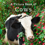 A Picture Book of Cows: A Beautiful Picture Book for Seniors With Alzheimer's or Dementia. A Great Gift for Elderly Parents and Grandparents!