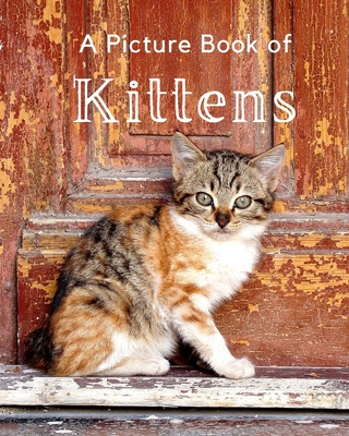 A Picture Book of Kittens: A Beautiful Picture Book for Seniors With Alzheimer's or Dementia. A Wonderful Gift For Cat Lovers. - A Bee's Life Press