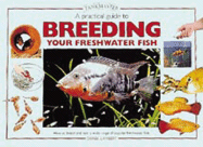A Practical Guide to Breeding Your Freshwater Fish