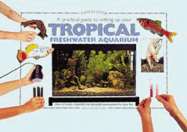 A Practical Guide to Setting Up Your Tropical Freshwater Aquarium - Sandford, Gina, and Interpet Publishing (Creator)