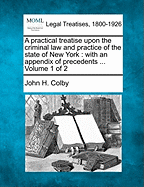 A practical treatise upon the criminal law and practice of the state of New York: with an appendix of precedents ... Volume 1 of 2