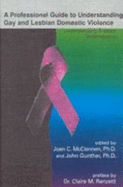 A Professional's Guide to Understanding Gay and Lesbian Domestic Violence: Understanding Practice Interventions - McClennen, Joan C