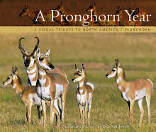 A Pronghorn Year: A Visual Tribute to North America's Pronghorn