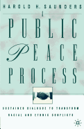 A Public Peace Process: Sustained Dialogue to Transform Racial and Ethnic Conflicts