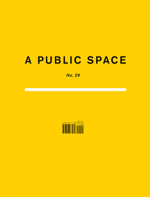 A Public Space No. 29 - Hughes, Brigid (Editor)