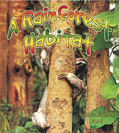 A Rainforest Habitat