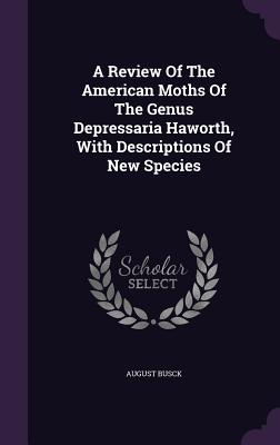 A Review Of The American Moths Of The Genus Depressaria Haworth, With Descriptions Of New Species - Busck, August