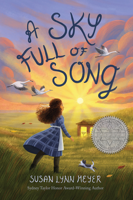 A Sky Full of Song - Meyer, Susan Lynn