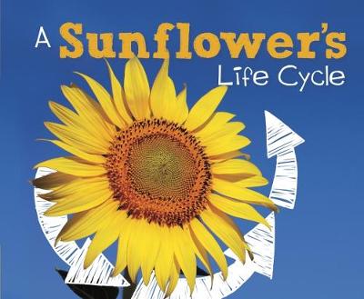 A Sunflower's Life Cycle - Dunn, Mary R.