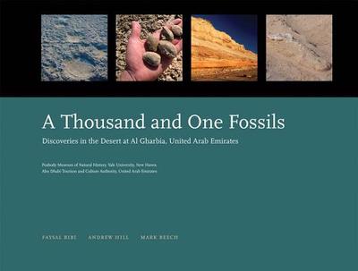 A Thousand and One Fossils: Discoveries in the Desert at Al Gharbia, United Arab Emirates - Bibi, Faysal, and Hill, Andrew, and Beech, Mark