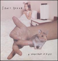 A Thousand Leaves [LP] - Sonic Youth