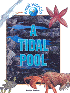 A Tidal Pool