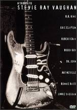 A Tribute to Stevie Ray Vaughan - 