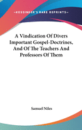 A Vindication of Divers Important Gospel-Doctrines, and of the Teachers and Professors of Them