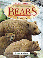 A visual introduction to bears